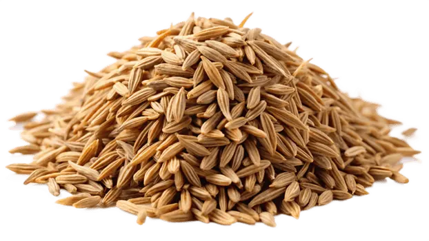 Cumin Seeds