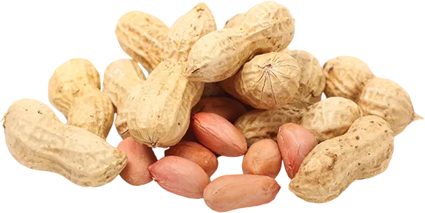 Peanut Seeds
