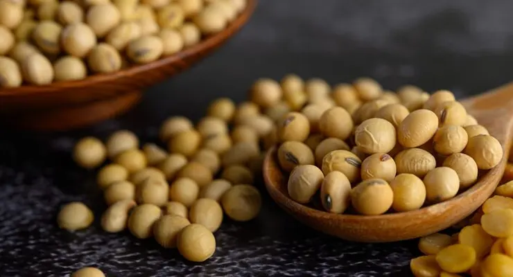 Soybean