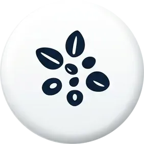 Spice Seeds - Icon