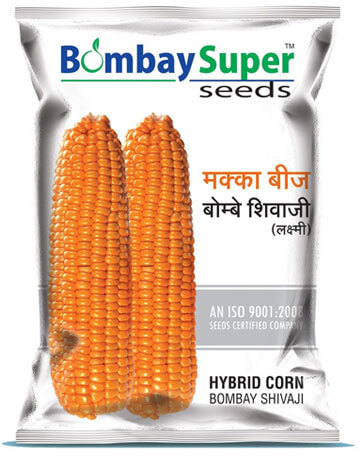 Hybrid Maize Seeds Suppliers | Maize Seeds India - Bombay Super Seeds