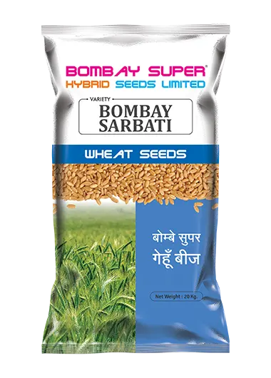 Wheat-B-Sarbati