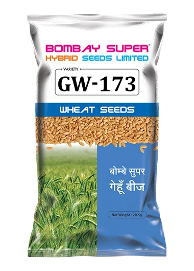 wheat-GW-173