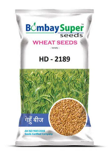 wheat-HD-2189